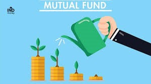 Mutual fund investors